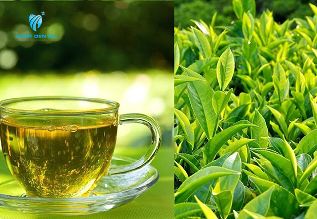 Lá trà xanh mang trong mình nhiều hợp chất có lợi cho sức khỏe răng miệng